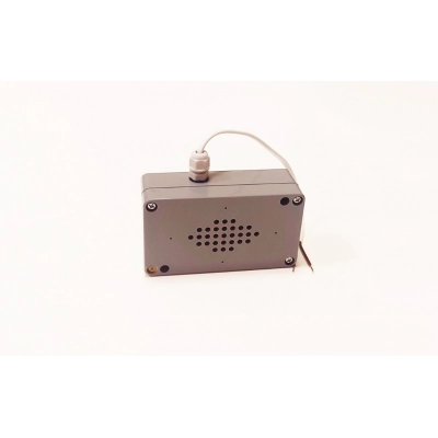 Информатор речевой- звуковой электронный с дистационным управлением (исполнение Б – 220В)